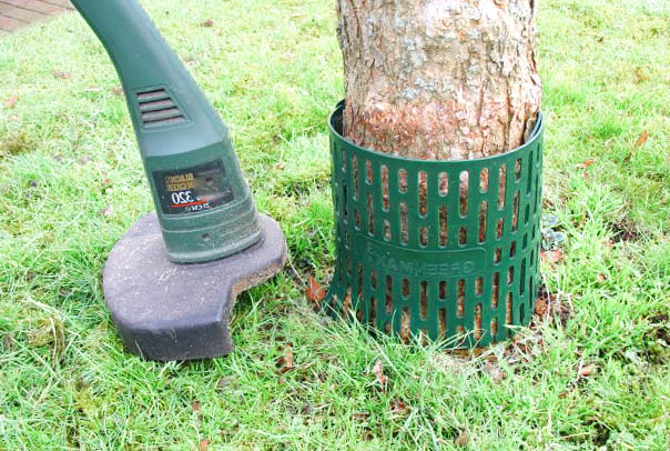 5 Stück  TreeProtect grün Stammschutzmanschette als Mähschutz