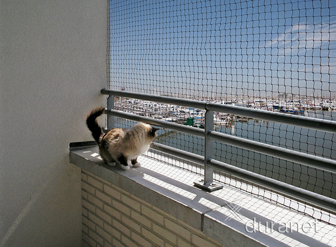 Katzennetz Balkonnetz 