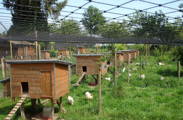 Vogelnetze Vogelschutznetz,Vogelnetz,Teichnetz,Geflügelnetz 5x5m Vogelnetze Vogelschutznetz,Vogelnetz,Teichnetz,Geflügelnetz 5x5m